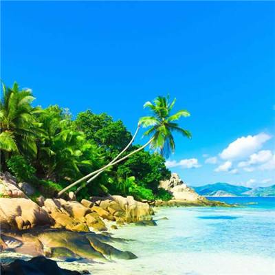 赛博体育app下载